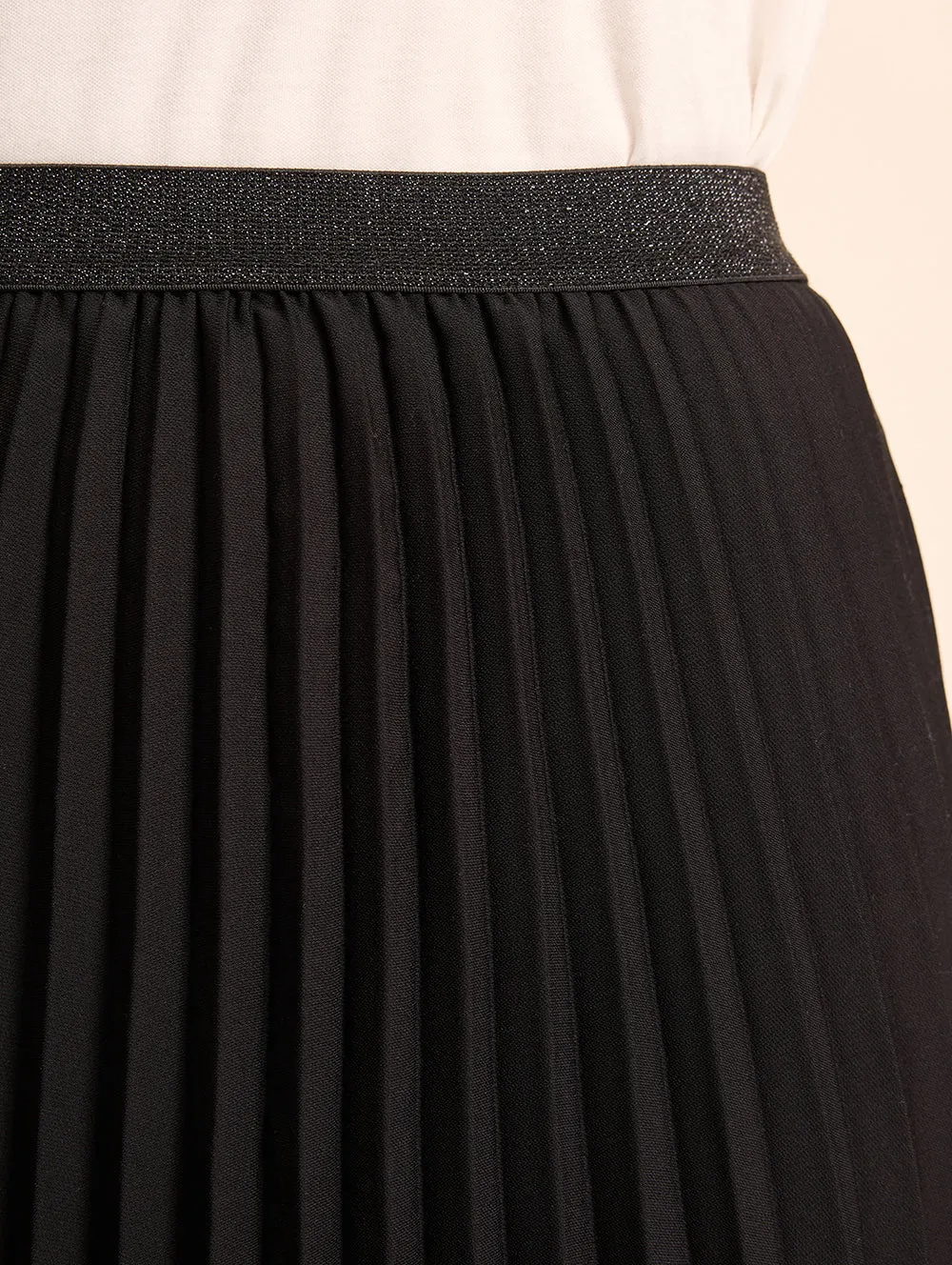 Penley Pleated Skirt